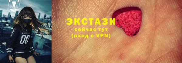 индика Бугульма