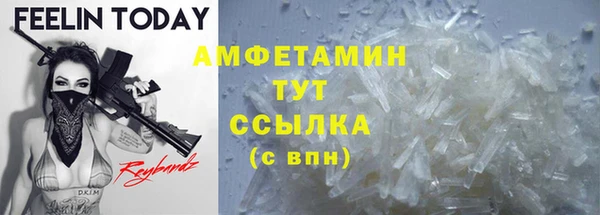 индика Бугульма