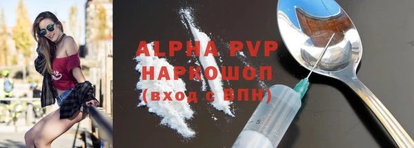 индика Бугульма