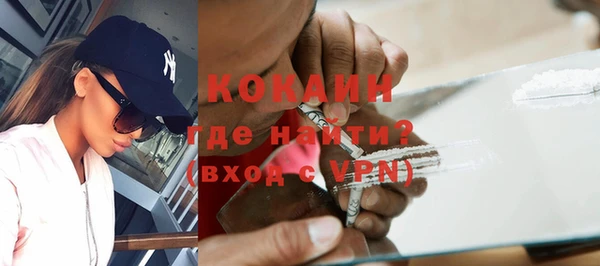 индика Бугульма