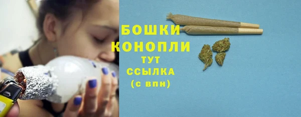индика Бугульма