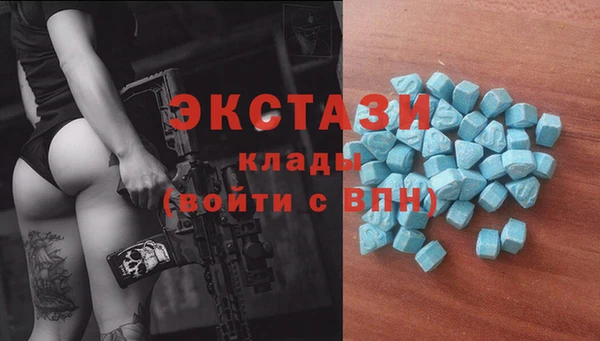 индика Бугульма