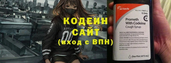 индика Бугульма